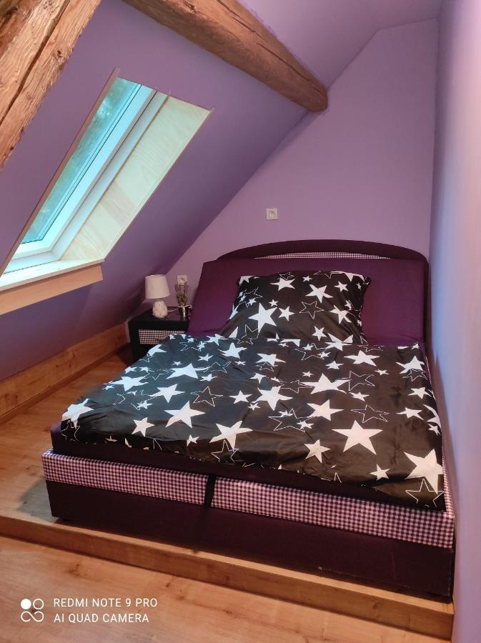 Apartman Sumava U Rybaku Volenice  ภายนอก รูปภาพ