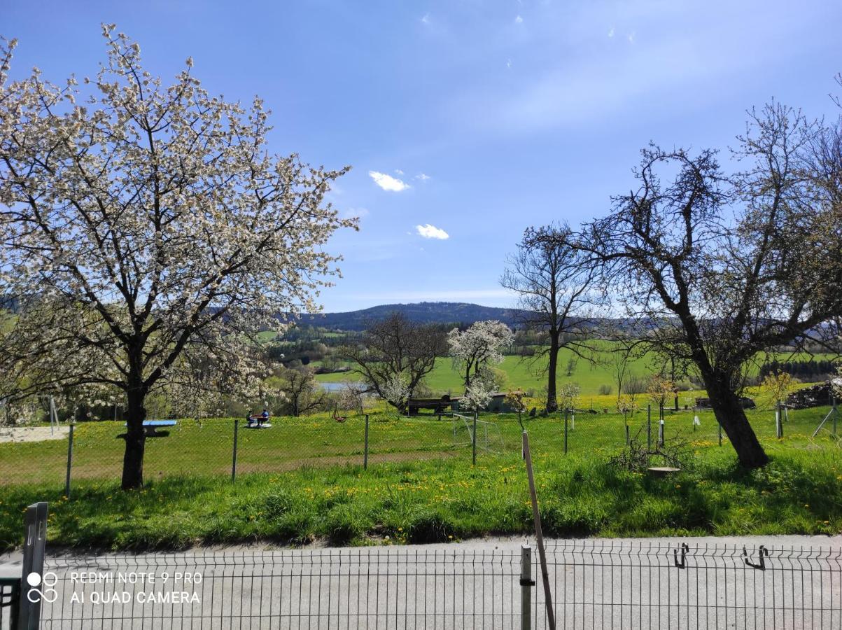 Apartman Sumava U Rybaku Volenice  ภายนอก รูปภาพ